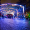 Lighting Displays in Austin, Texas: A Guide to the Best and Most Affordable Experiences